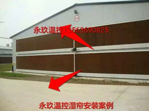 麻豆性生活视频安装现场