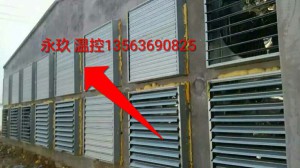 麻豆AV免费观看安装现场