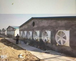 麻豆AV免费观看安装现场