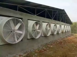 麻豆AV免费观看安装现场