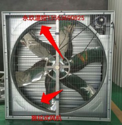 推拉式麻豆AV免费观看